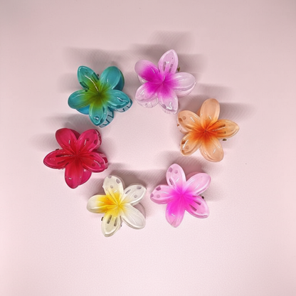 Buy Korean Flower Design Multicolor Claw Clip Combo