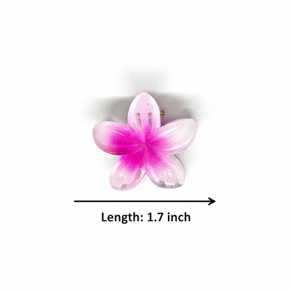 Buy Korean Flower Design Multicolor Claw Clip Combo